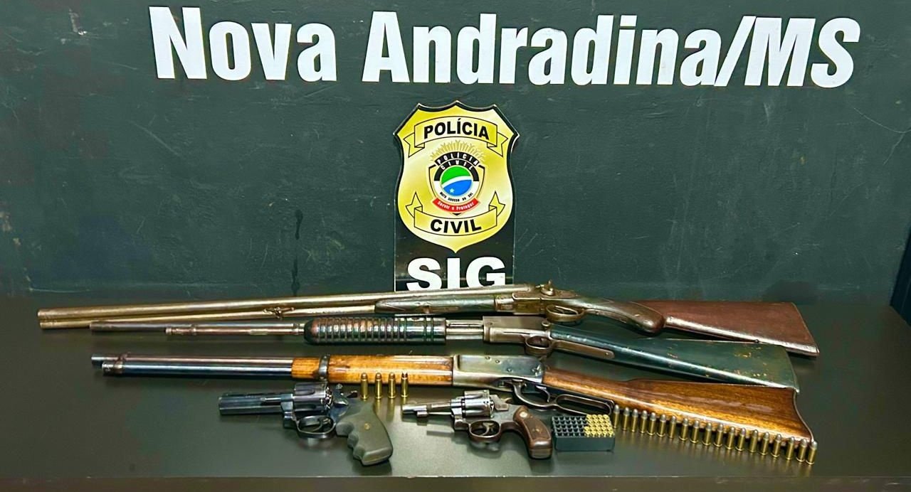 Nova Andradina - Polícia Civil esclarece furto de gado, recupera animais, prende receptadores e apreende armas de fogo