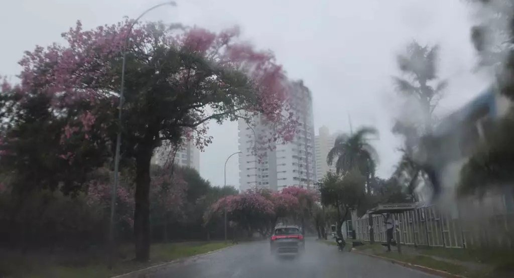 MS entra na rota de ciclone e terá temporais e frente fria