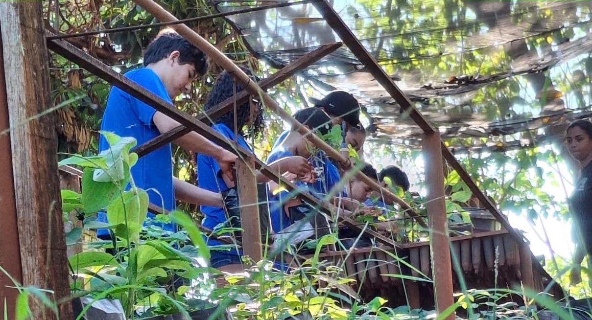 Arboriza Via avança em Batayporã e primeira turma aprende manejo de mudas