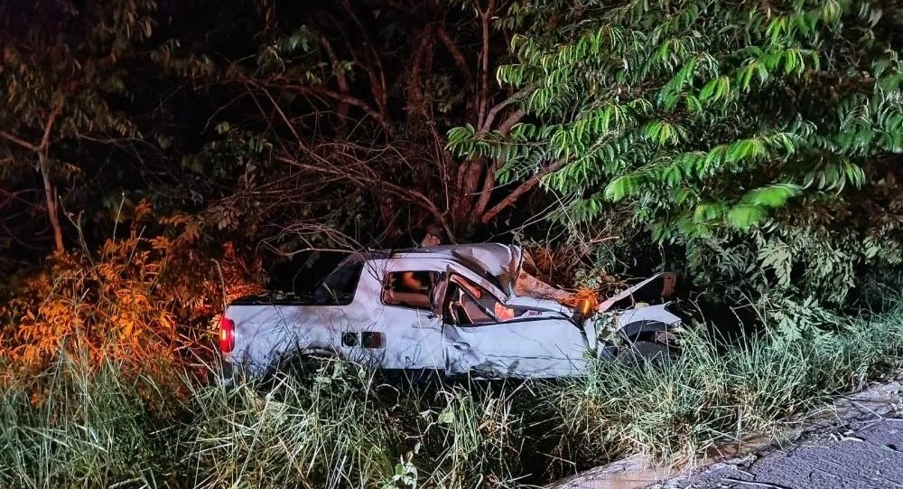 Picape colide com anta deixa três feridos na MS-395 entre Anaurilândia e Bataguassu