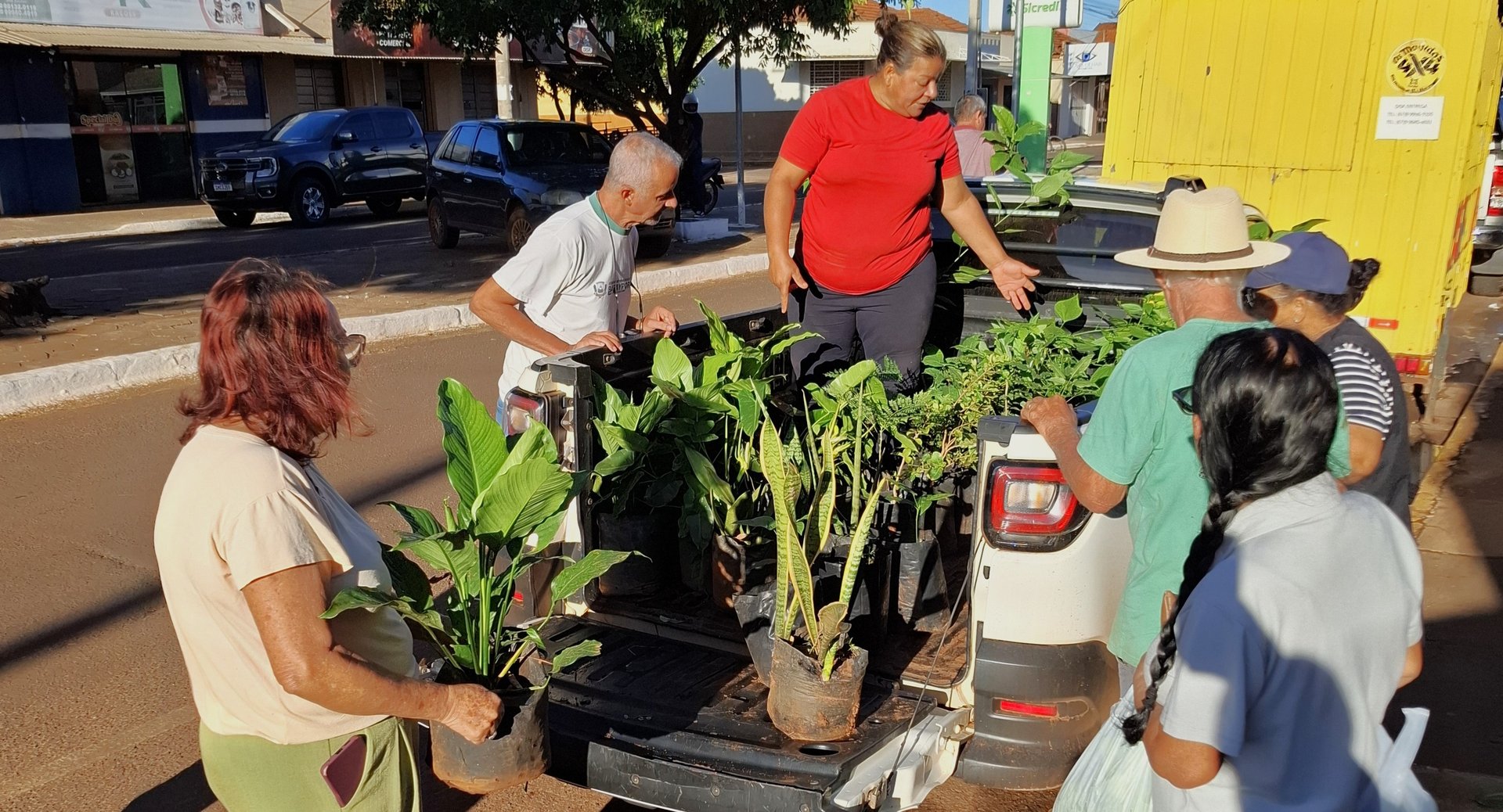 Doação de mudas mobiliza população e promove educação ambiental em Batayporã