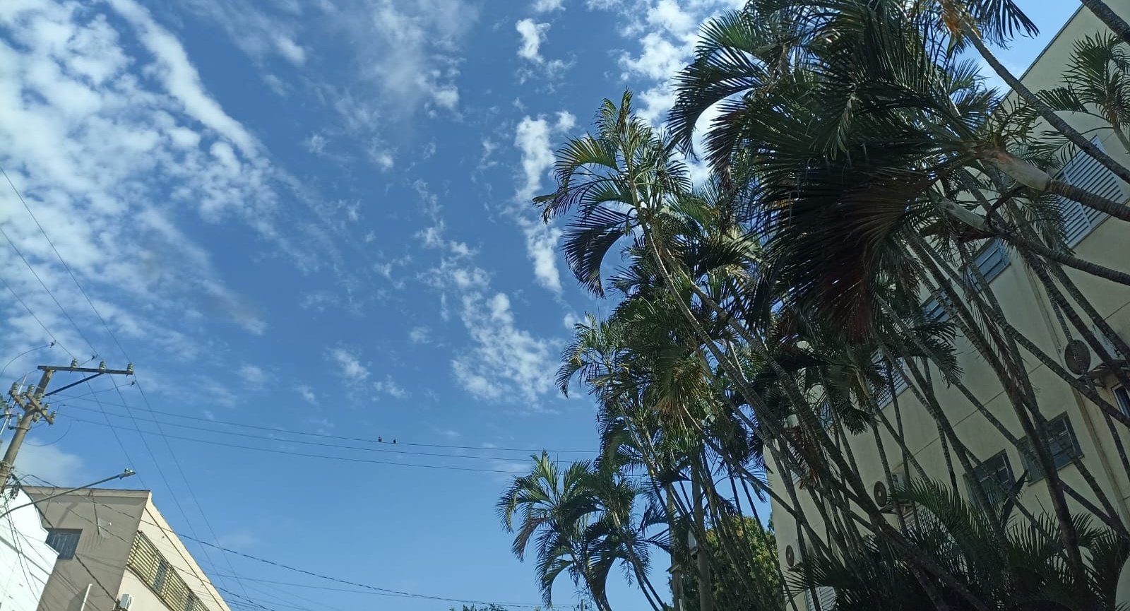 Veja a previsão do tempo para este domingo (19) na região de Nova Andradina