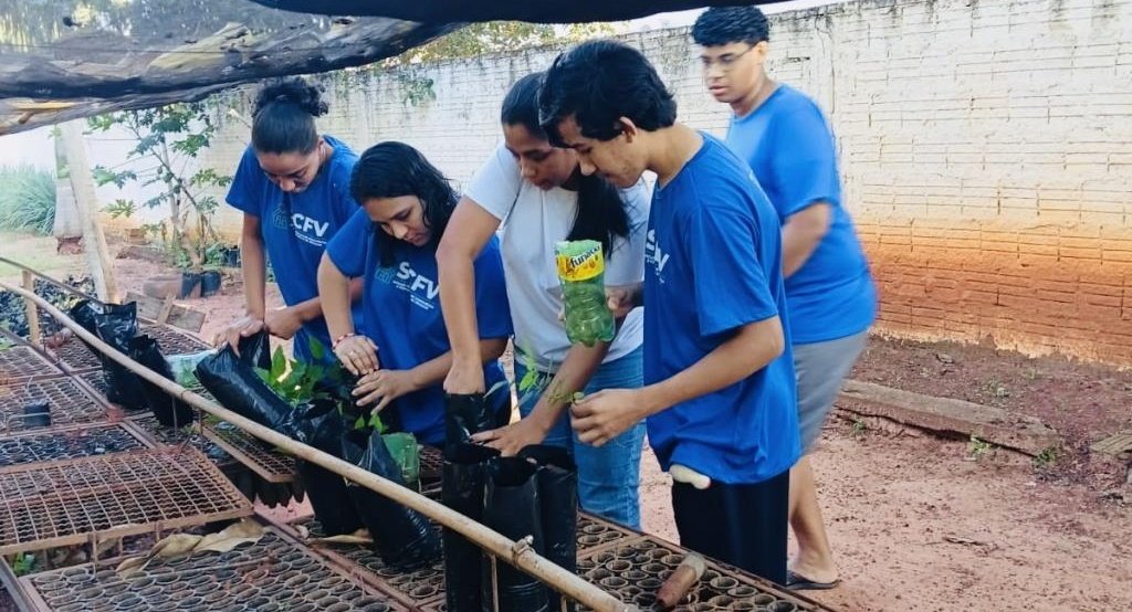 Batayporã: Arboriza Via conclui etapa de produção de mudas e prepara plantio na MS-276