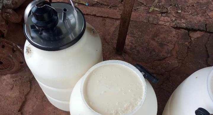 Mais de 48 horas sem energia causam prejuízos a produtores do Assentamento 17 de Abril