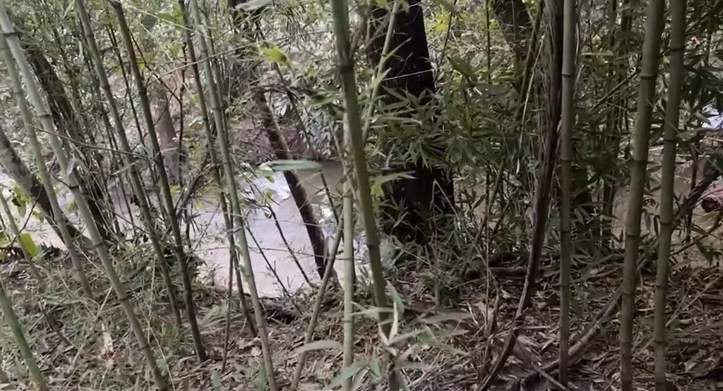 Corpo em decomposição é encontrado às margens de córrego em Nova Alvorada do Sul
