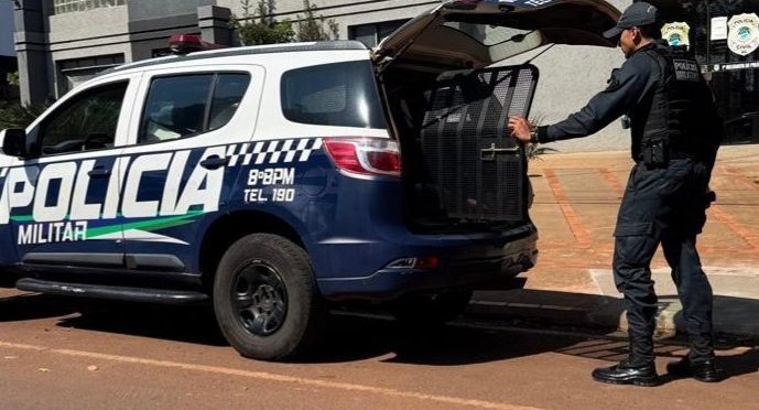 Homem é conduzido à delegacia após causar tumulto e importunar funcionária em hospital de Nova Andradina