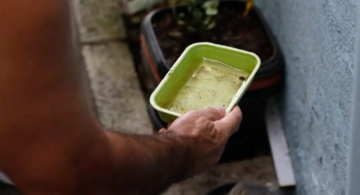 LIRAa de maio orienta ações de prevenção às arboviroses em Mato Grosso do Sul