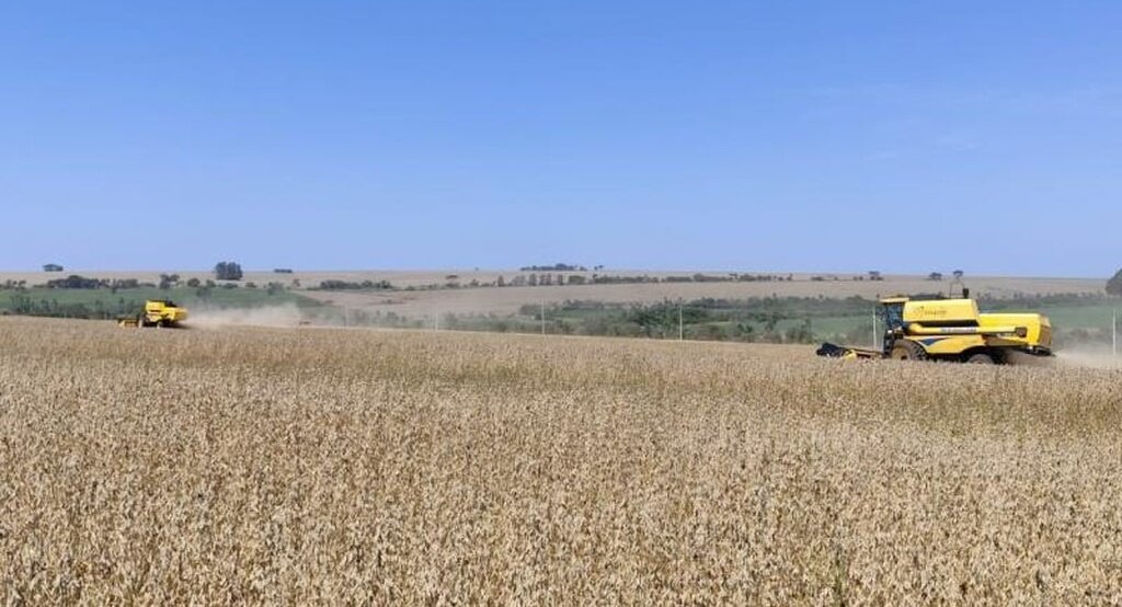 Recuperação judicial no agro cresce 22% e MS soma 38 pedidos