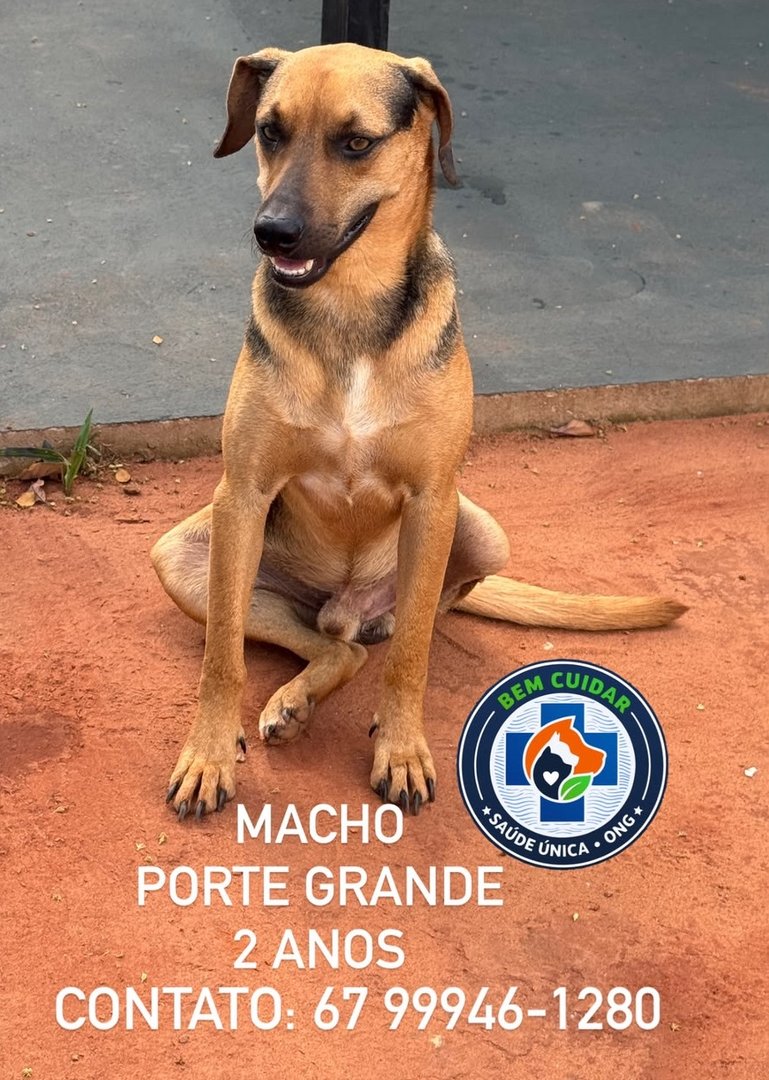 Imagem