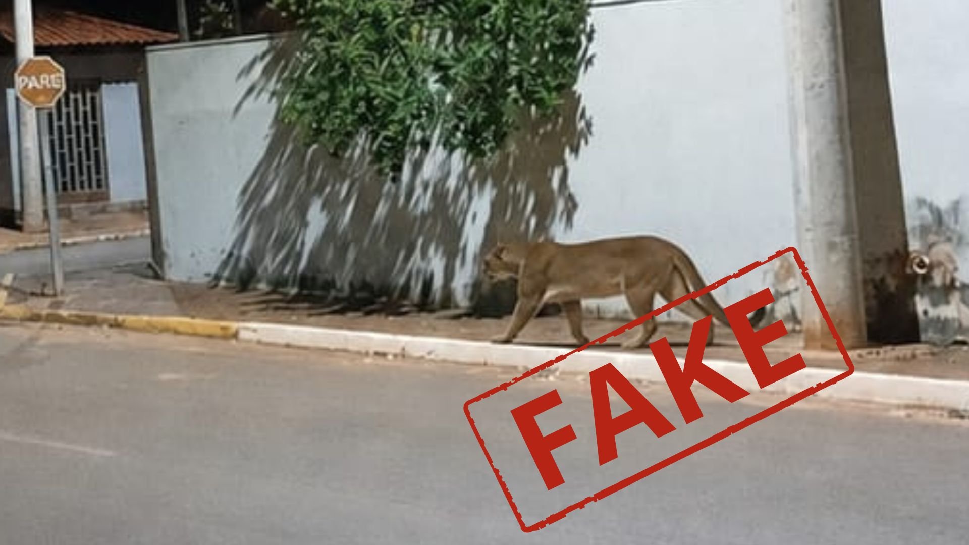 Imagem: Reprodução