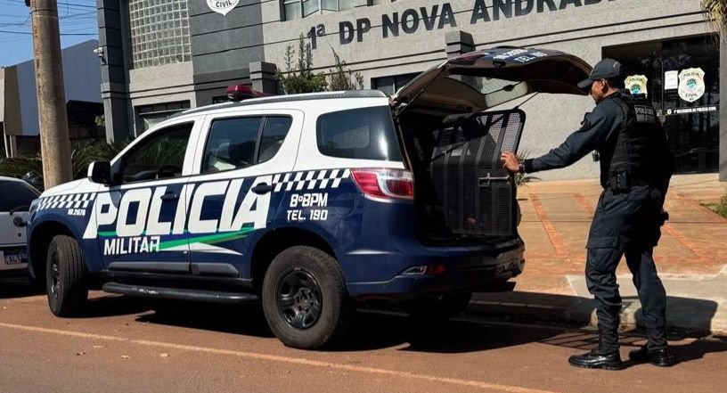 Homem transtornado invade supermercado e precisa ser contido pela PM em Nova Andradina