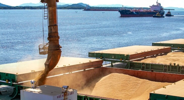 Agronegócio impulsiona exportações de MS, que crescem 12,5% até setembro