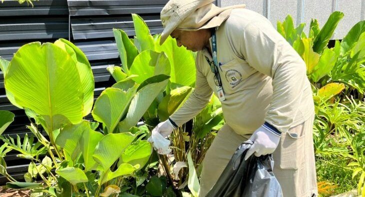 Boletim: MS registra 10,6 mil casos confirmados de chikungunya neste ano