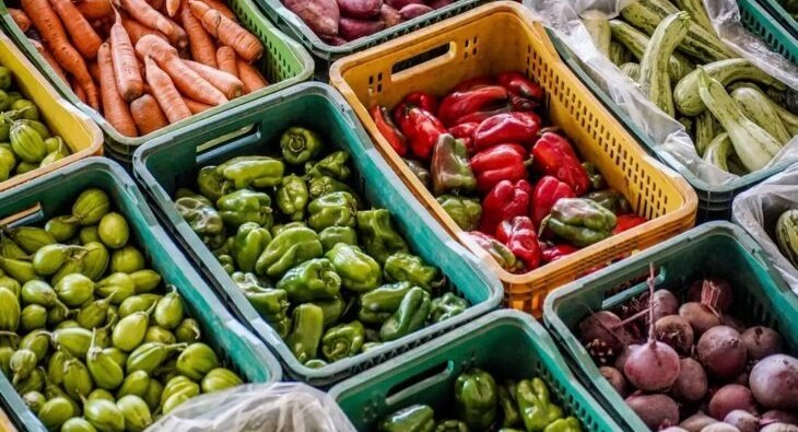 SES lança painel para monitorar situação alimentar e nutricional nos municípios de MS