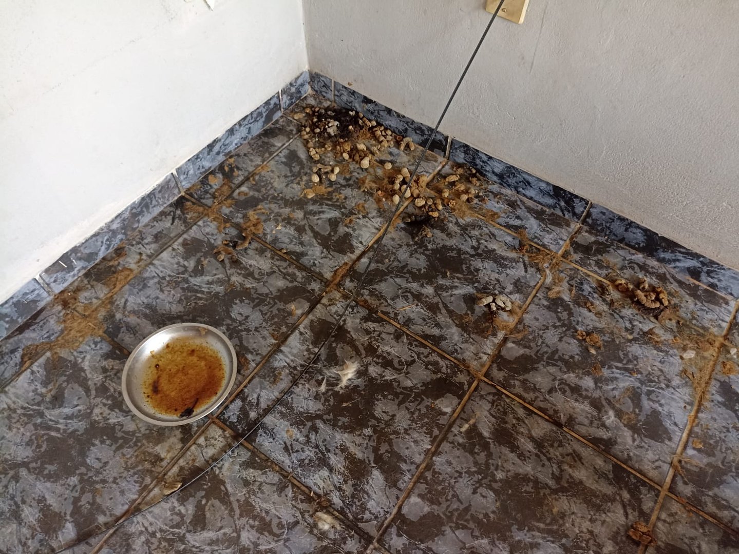 WhatsApp Image 2026-10-19 at 13.09.33 (1)